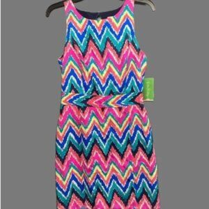 NWT Lilly Pulitzer Women's Dress Size 2
